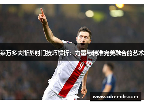 莱万多夫斯基射门技巧解析：力量与精准完美融合的艺术