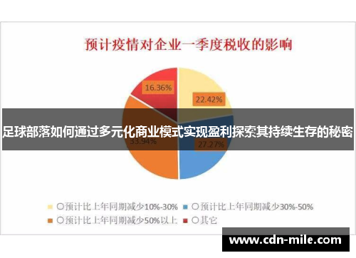 足球部落如何通过多元化商业模式实现盈利探索其持续生存的秘密