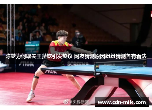 陈梦为何取关王楚钦引发热议 网友猜测原因纷纷猜测各有看法